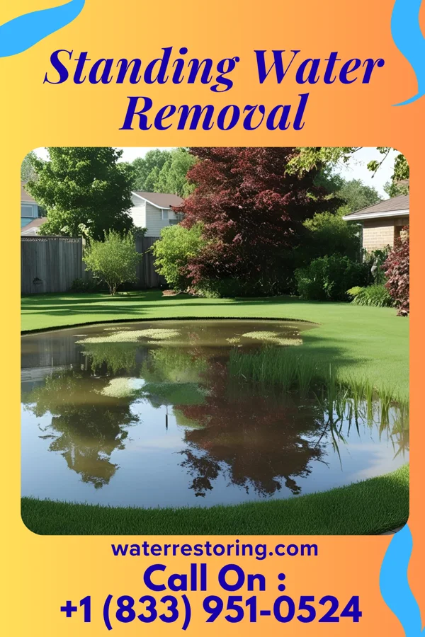 Standing Water Removal in Camp Swift, TX